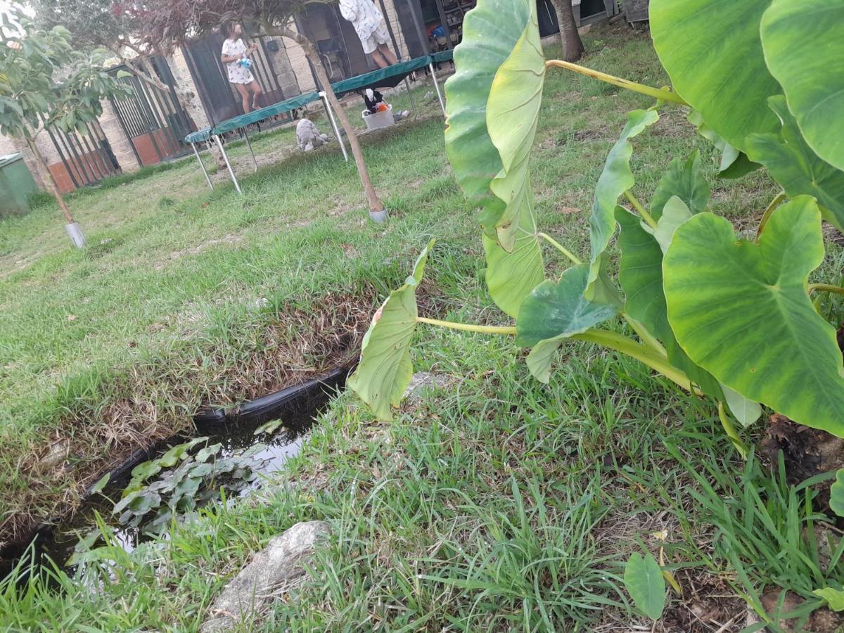 פויו La Casa De Las Ranas מראה חיצוני תמונה