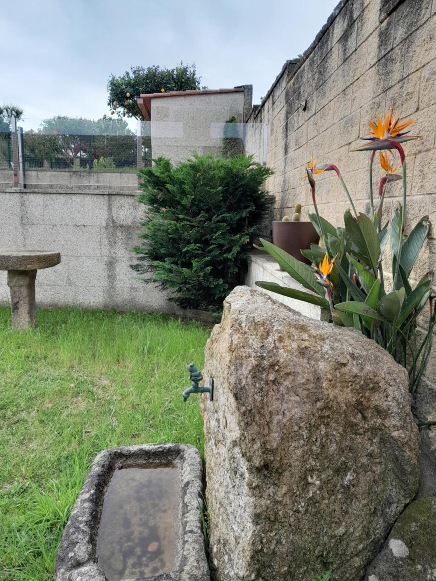 פויו La Casa De Las Ranas מראה חיצוני תמונה